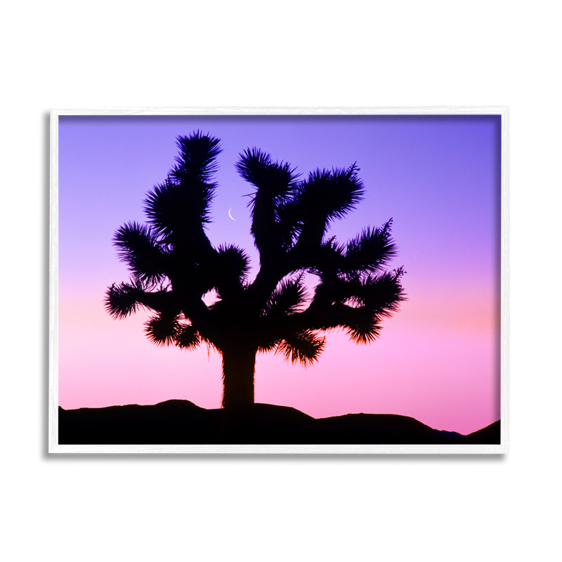 «Crescent Moon Tree Silhouette» encadré sur bois par Dennis Frates, photographie, H 11 po x l 14 po x P 1,5 po