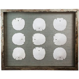 Sealife Framed Graphic Art