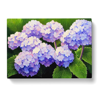 Hydrangea Flower View Vol.1 - Wrapped Canvas