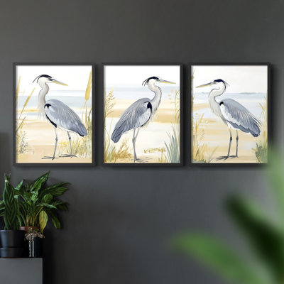 Aviary Study  Series  CIX  -Set Of 3 Framed Giclee Prints -Ready to Hang