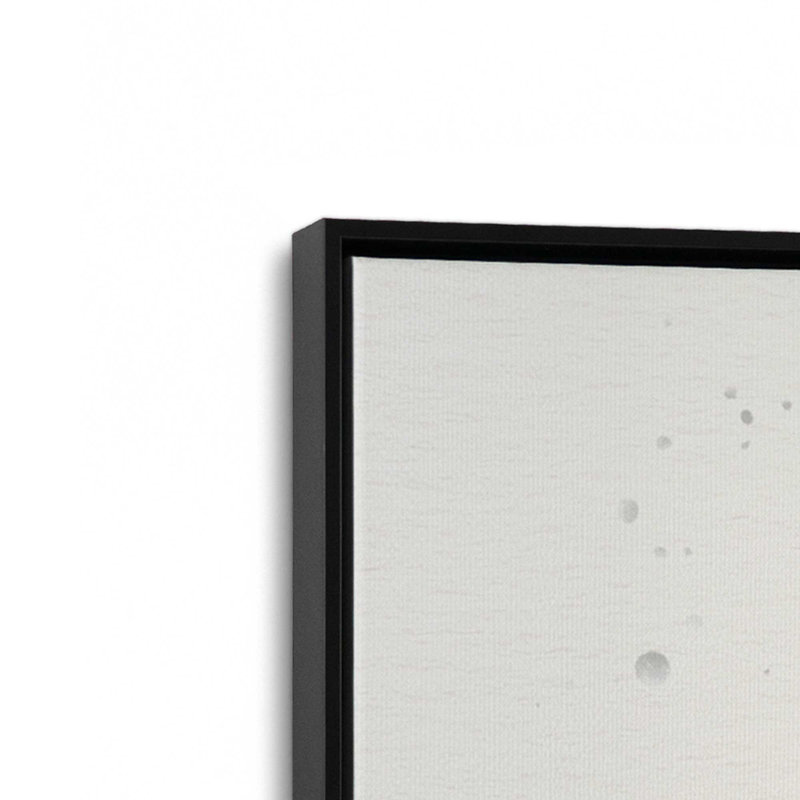Ensemble de 4 botaniques noirs et blancs, Cadre flottant noir satiné, H 31 po x l 84 po