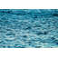 Blue Chop Print by Ted Glasoe