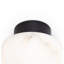 Parker 1 - Light Flush Mount-79008912