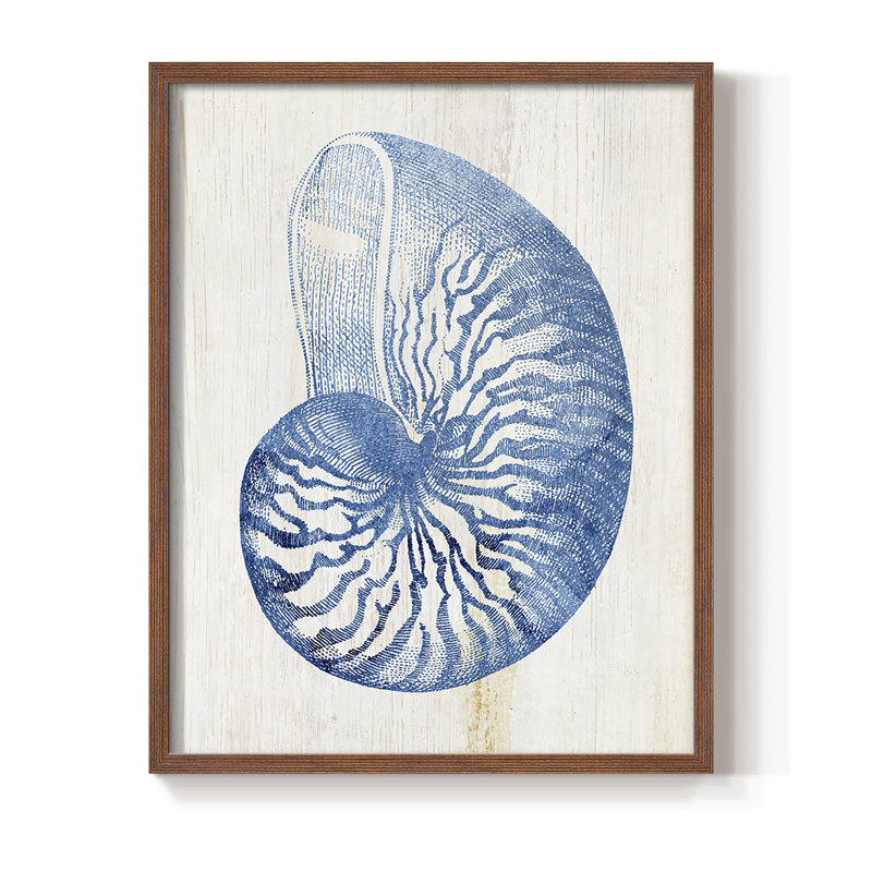 Shell IV Framed Print - Solid Wood, 15" H x 12" W, Walnut