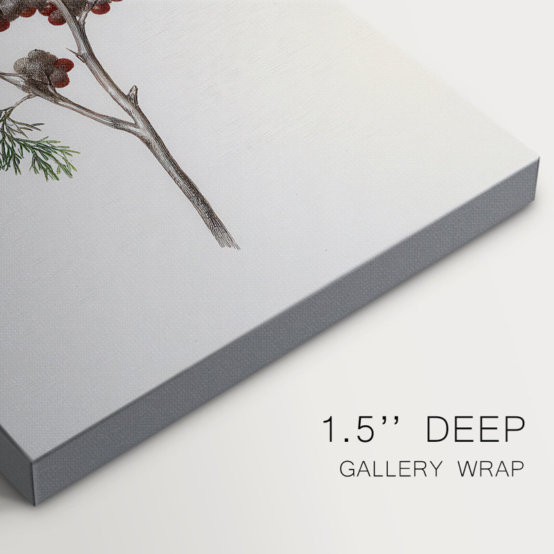 Snowwhite Dusk Square-Premium Gallery Wrapped Canvas