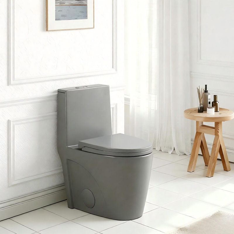 1.1/1.60 GPF Dual-Flush One Piece Toilet, Water-Saving Elongated Comfort Height Floor Mounted, Soft Close 1000 Gram Map Flushing Score Toilet, Light Grey 