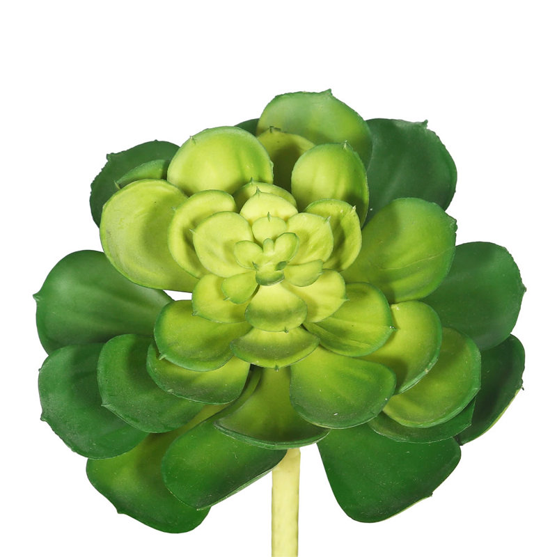 5'' Faux Succulent