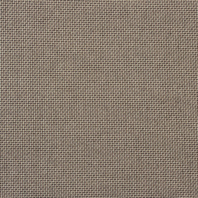 Dom Taupe