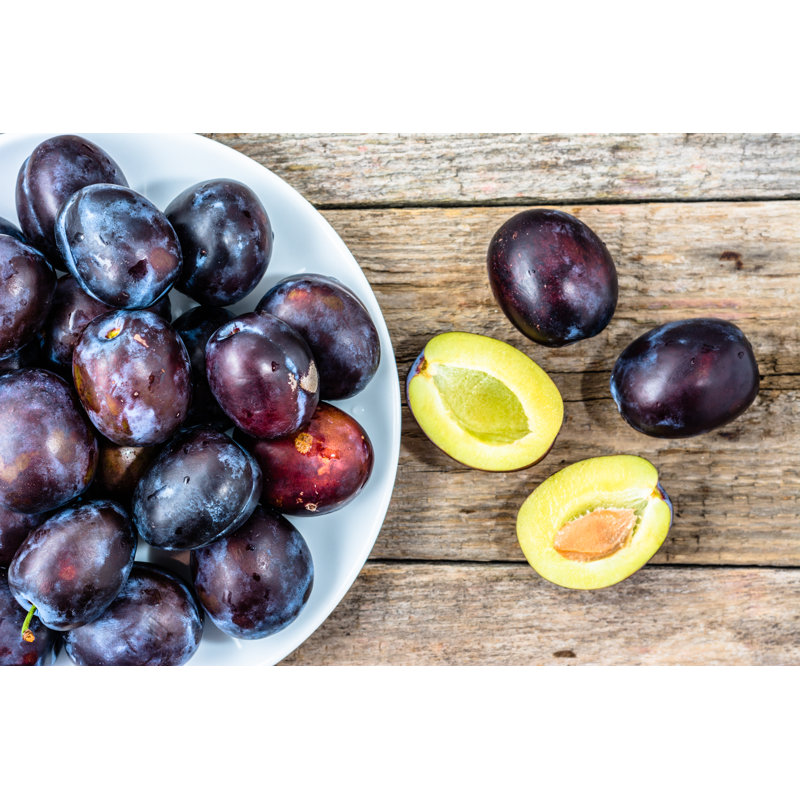 Purple Plums by Alicjane - Wrapped Canvas Print, 30cm H x 46cm W x 3.8cm D