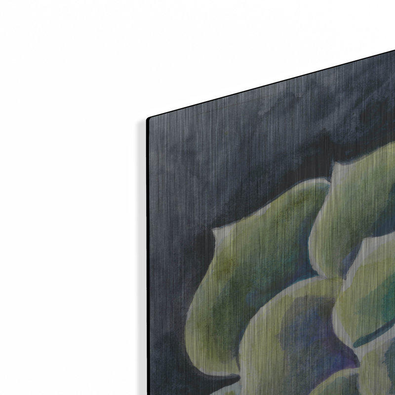 Art mural luxueux «Succulent Rosette 2» par Chariklia Zarris, 36 po x 36 po, H 36 po x l 36 po