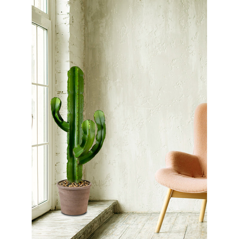 44 "plante de cactus artificielle en pot
