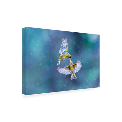 Art sur toile «ologa »par Marco Redaelli
