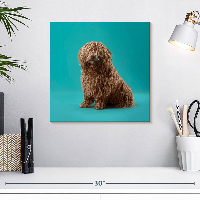 Crowle Komondor Dog, 16" H x 16" W
