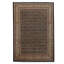 Wool Oriental Area Rug in Gold