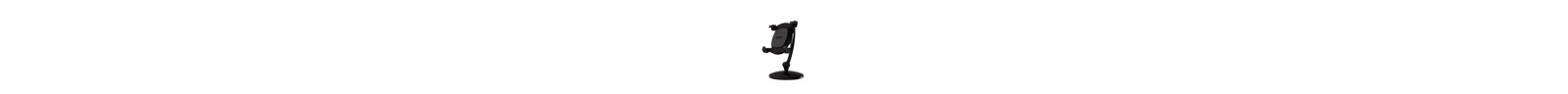 Claudette Symple Stuff Desktop Mount