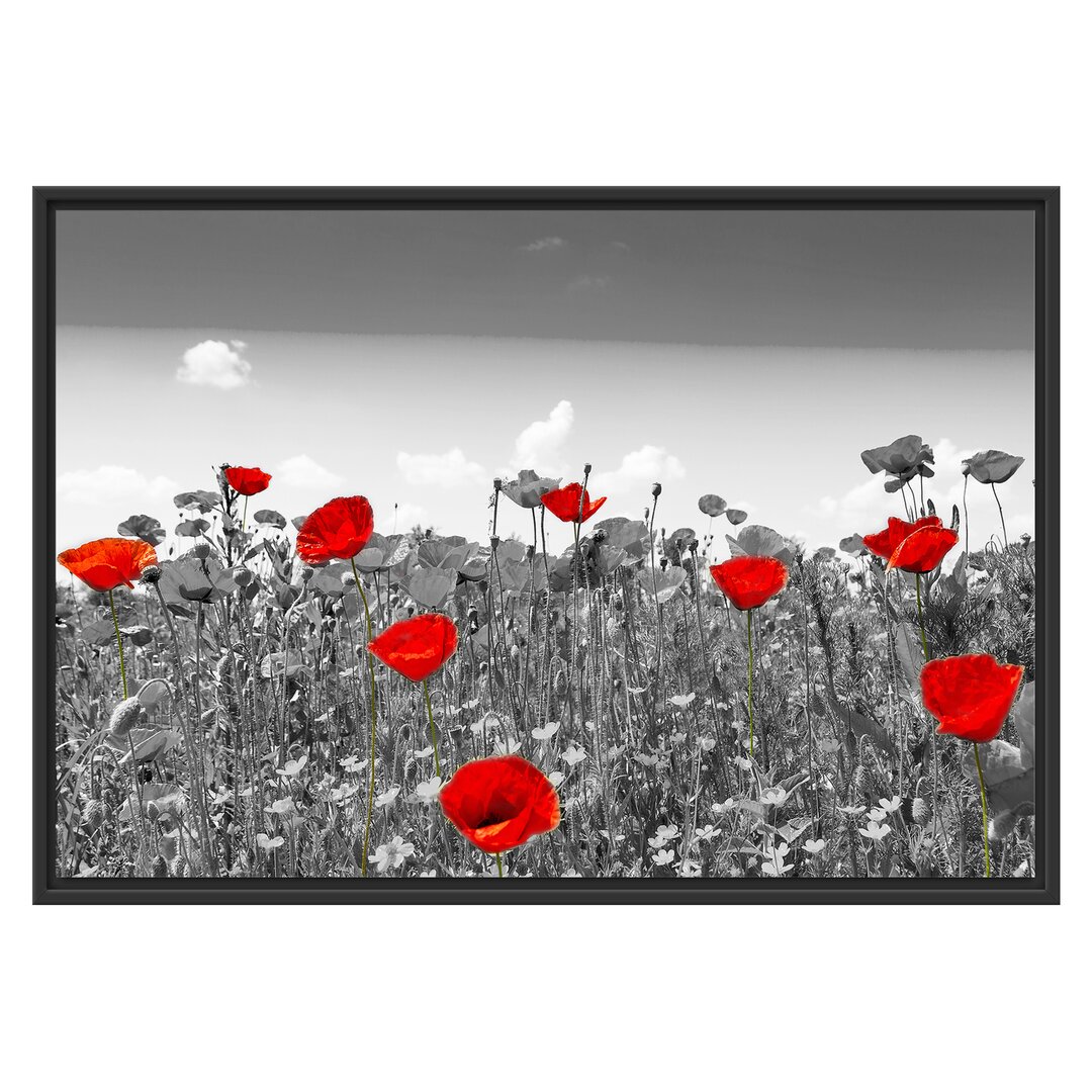 Gerahmtes Wandbild schöner rot leuchtender Mohn