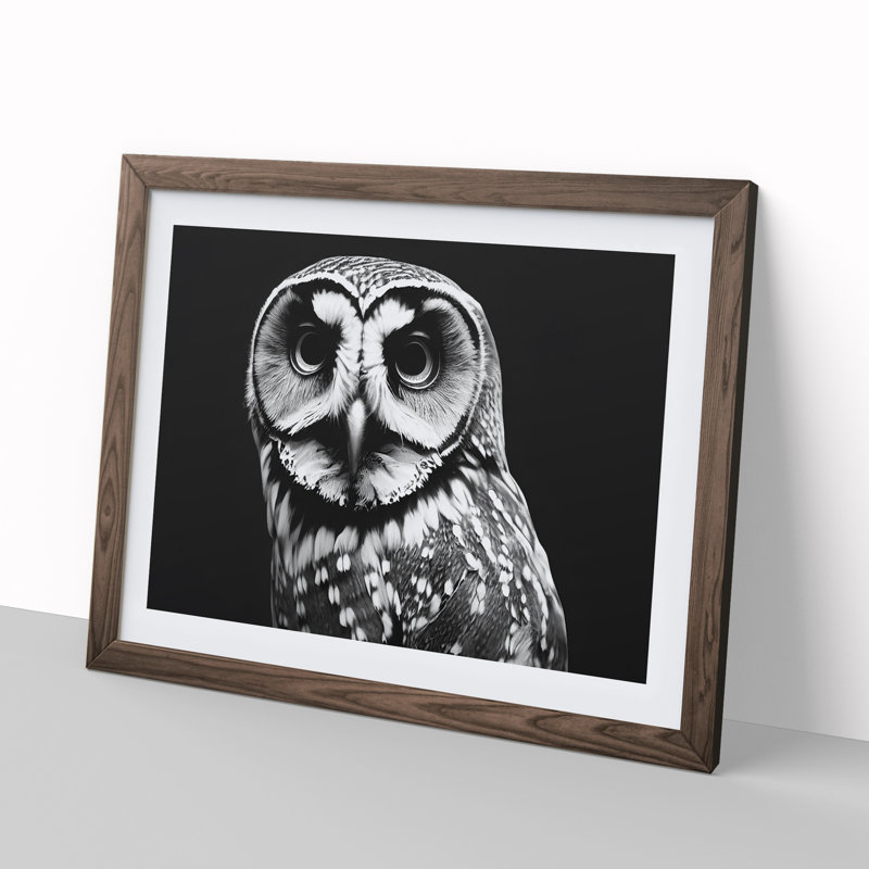 XH1022-6553X Owl Portrait Monochrome Vol.5 - Single Picture Frame Print, 46cm H x 64cm W x 2cm D, Walnut
