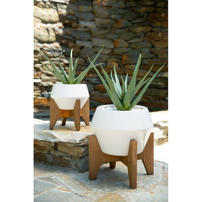 Ensemble de pots à fleurs en céramique 2 pièces Livleen