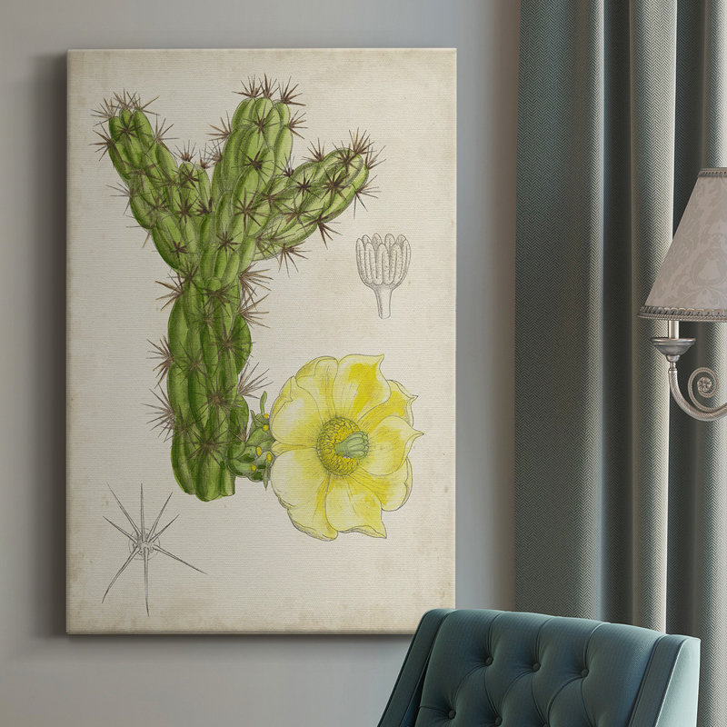Antique Cactus I - impression sur toile tendue, H 36 po x l 24 po x P 1 po