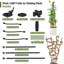 Kirat H 47 x l 15,7