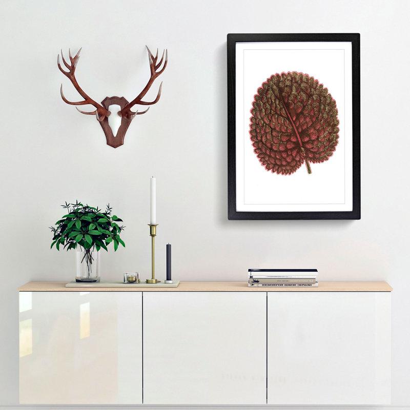 Plant Leaf by Benjamin Fawcett - Framed Print, 50cm H x 35cm W x 2cm D, Black