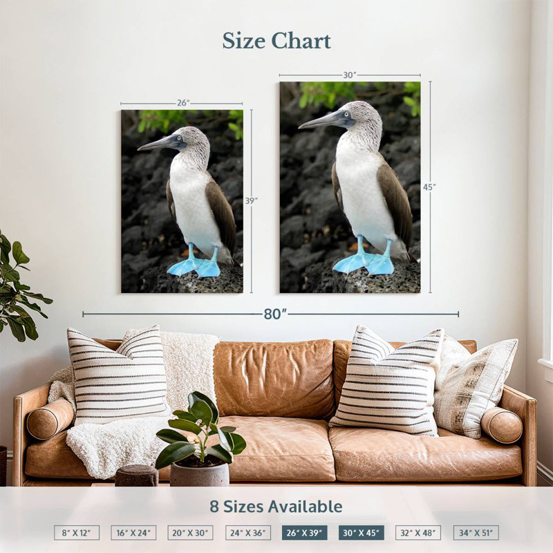 Brampt Blue-Footed Booby Birds, 45" H x 30" W