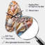 Seashell Realistic Treasures Realism - Seashell Asymmetrical Metal Wall Clock, Modern Unique Shape Wall Clock Print-104238017