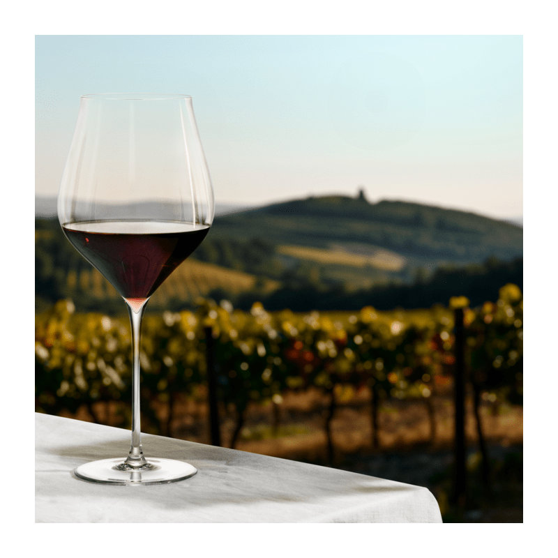 Notes Glassware, 27.4 Oz