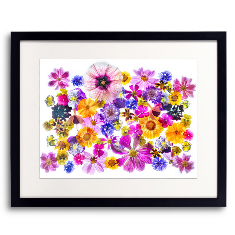 Love Is A Many Splendored Thing Print by Harold Davis, Black Framed Paper, 16" H x 20" W