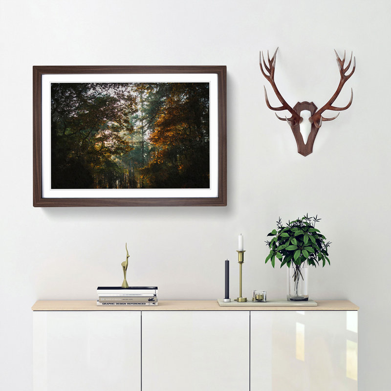 A Magical Forest - Framed Print, Walnut Framed, 33cm H x 45cm W x 2cm D