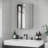 Wall-Mounted Medicine Cabinet With Mirror, Bathroom Mirror Cabinet Wall Mounted With Hinged Door, Storage Shelves For Living Room And Laundry Room, 15" X 24", Silver