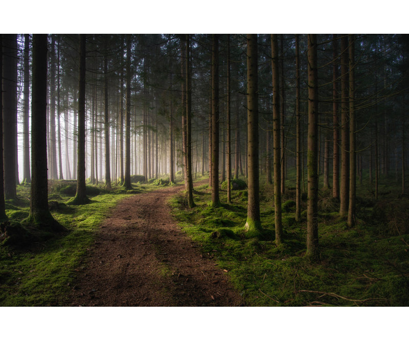 Wrapped Canvas Print, 50.8cm H x 76.2cm W