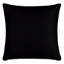 Zelda Square Pillow Cover & Insert