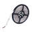 Morrilton Indoor 0 - Bulb 5'' Plug-in LED Fairy String Light-414325775