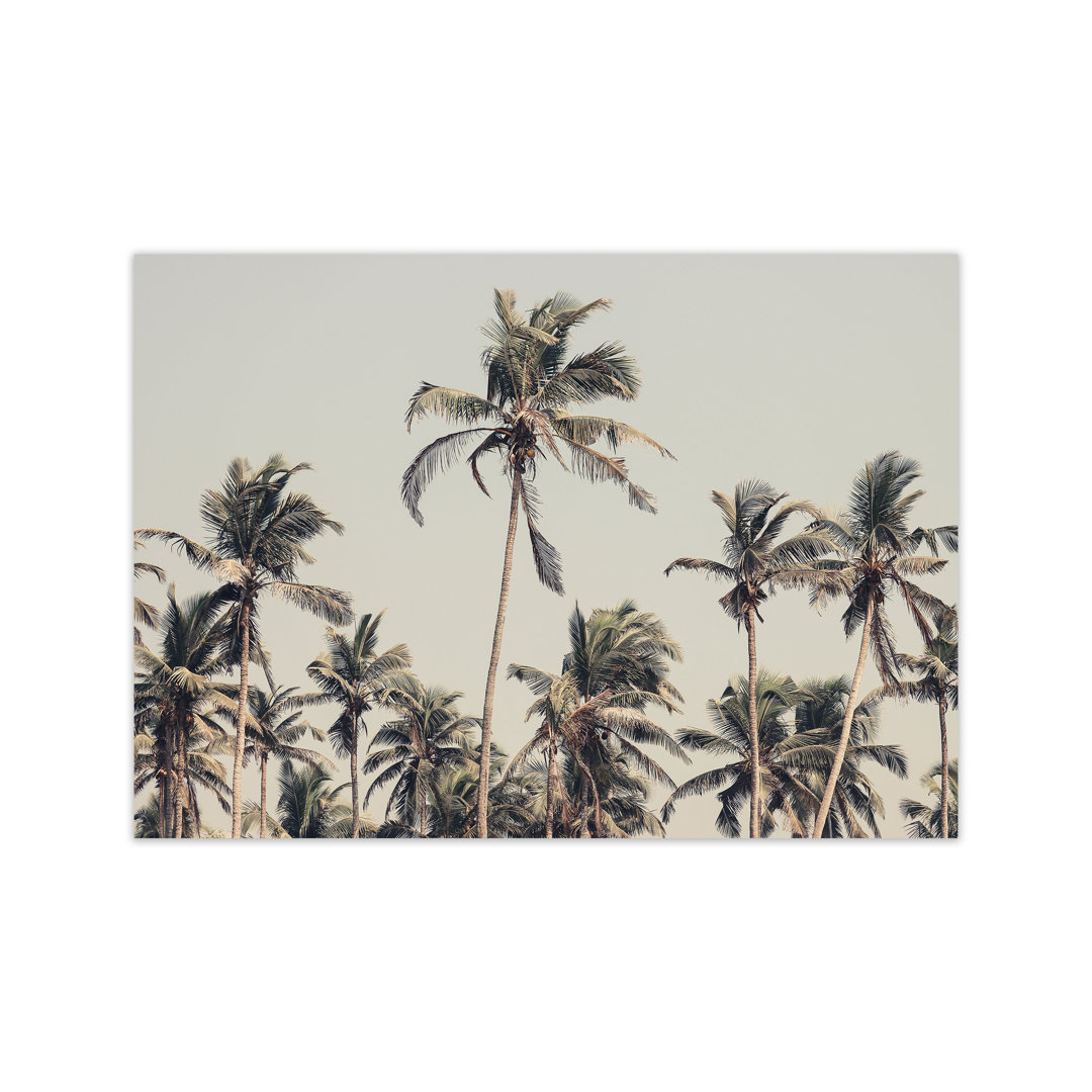 Palm Trees on the Beach by Victoria Frost - Photograph