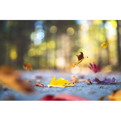 Falling Autumn Leaves by Borchee