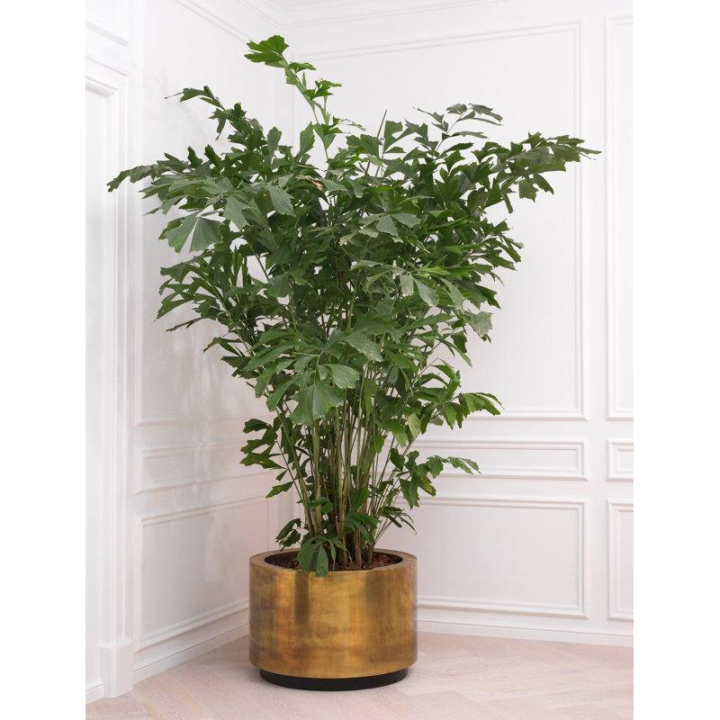 Jasper Handmade Metal Planter, 21.26" H x 31.3" W x 31.3" D