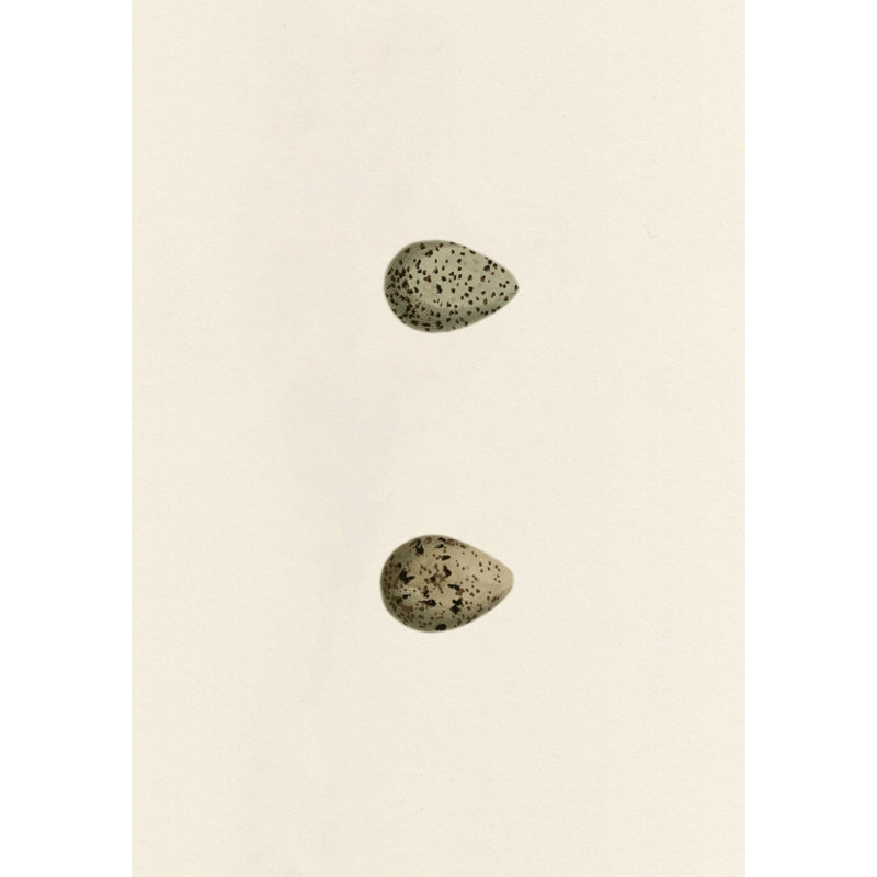 Abstract Print by Studio L57 Nouvelle, 15" H x 12" W