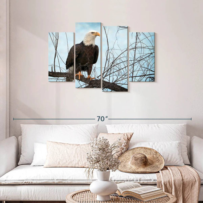 North American Bald Eagle Portrait, H 27 po x l 43 po