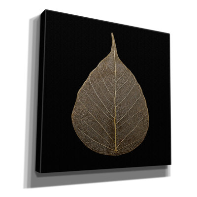 Epic Graffiti «Brown Leaf» par Photoinc Studio, Can «Brown Leaf» par PhotoINC Studio