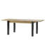 Nampreet Extendable Dining Table