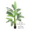 ARBRE DE PAUME 60 "PARADISE 60"