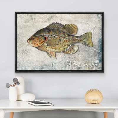 Fish " Redear Sunfish On Granite Background Marine Life Animals Realism Nautical Ultra "
