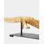 Dragon Decorative Object