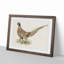 Ring-Necked Pheasant by Von Wright - Picture Frame Painting Print on MDF-55598735-55598737