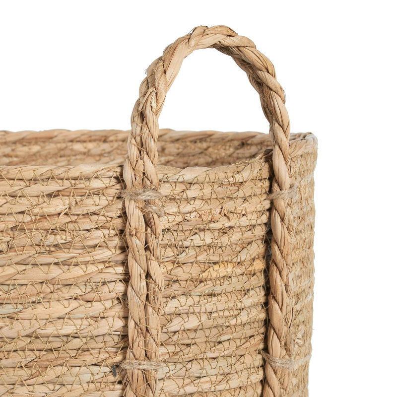 Beachcrest Home™ Decorative Bin