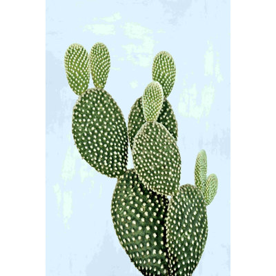 Cactus sur bleu V - photographie sur toile tendue