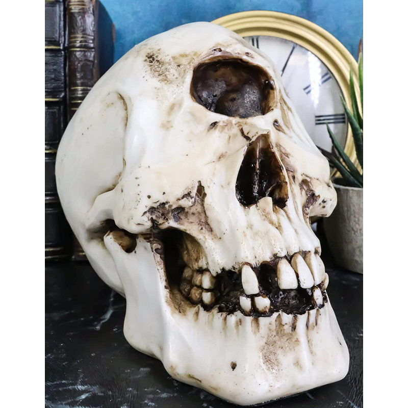 Harrielson Harrielson Cyclops Skull
