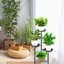 Plant Stand - Set of 4