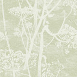 Cow Parsley Floral Wallpaper Roll